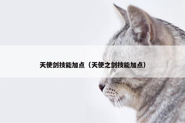 天使剑技能加点（天使之剑技能加点）
