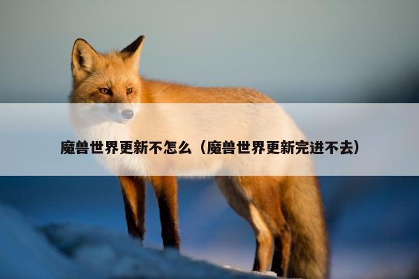 魔兽世界更新不怎么（魔兽世界更新完进不去）