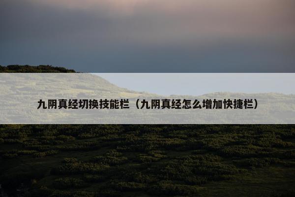 九阴真经切换技能栏（九阴真经怎么增加快捷栏）