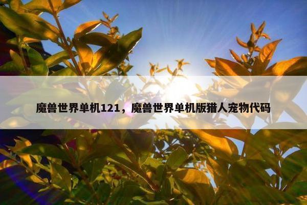 魔兽世界单机121，魔兽世界单机版猎人宠物代码