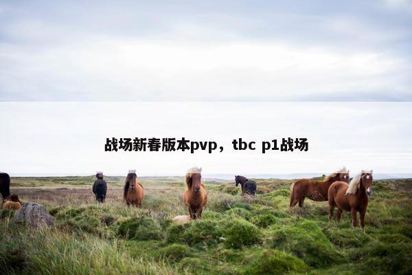 战场新春版本pvp，tbc p1战场