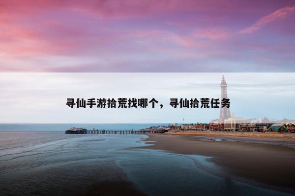 寻仙手游拾荒找哪个，寻仙拾荒任务