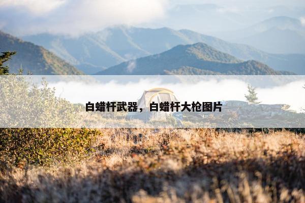 白蜡杆武器，白蜡杆大枪图片