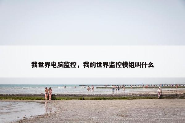 我世界电脑监控，我的世界监控模组叫什么