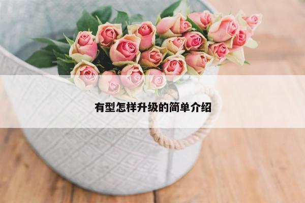 有型怎样升级的简单介绍