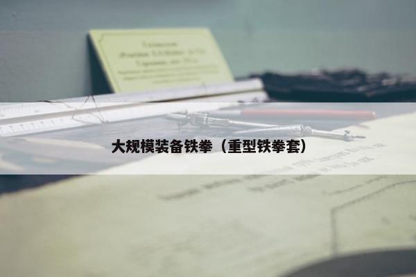 大规模装备铁拳（重型铁拳套）
