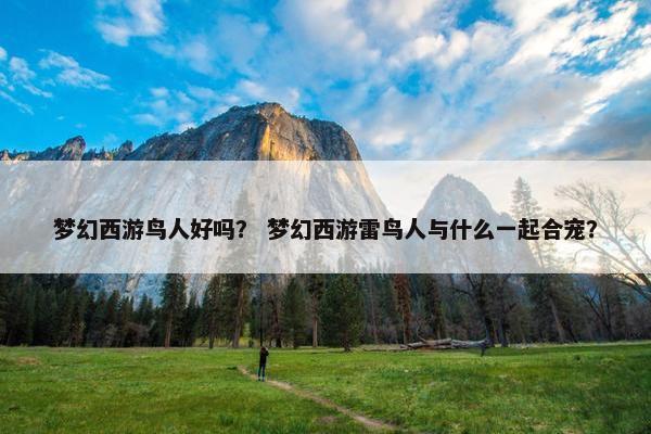 梦幻西游鸟人好吗？ 梦幻西游雷鸟人与什么一起合宠？