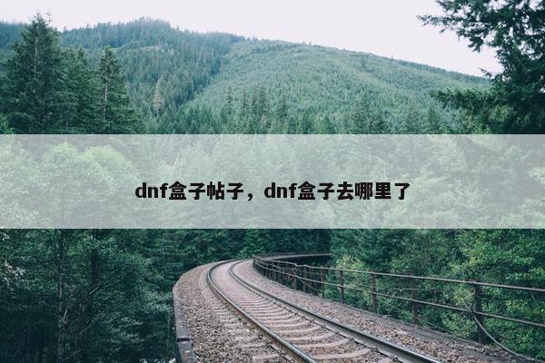 dnf盒子帖子，dnf盒子去哪里了