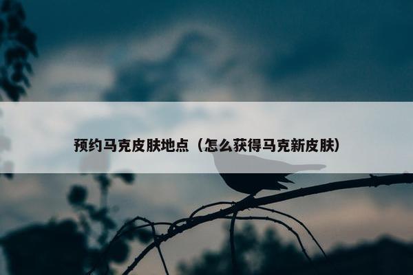 预约马克皮肤地点（怎么获得马克新皮肤）