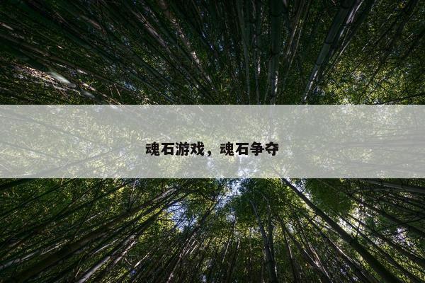 魂石游戏，魂石争夺