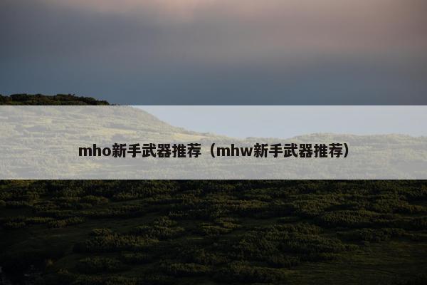 mho新手武器推荐（mhw新手武器推荐）