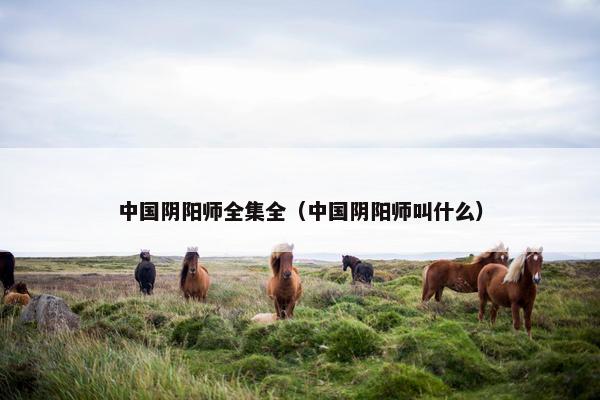 中国阴阳师全集全（中国阴阳师叫什么）