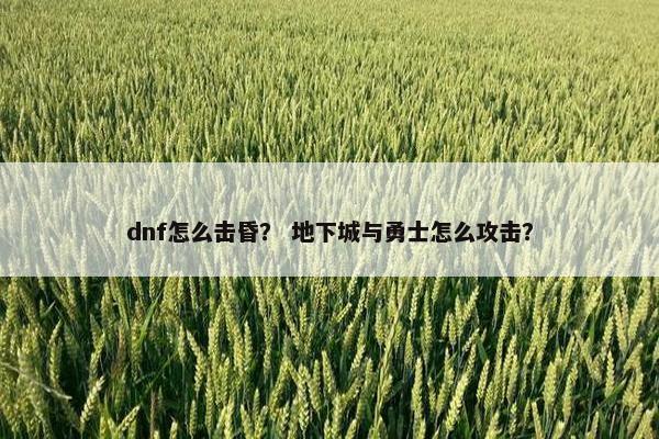 dnf怎么击昏？ 地下城与勇士怎么攻击？