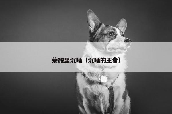 荣耀里沉睡（沉睡的王者）