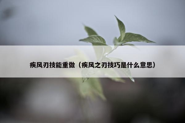 疾风刃技能重做（疾风之刃技巧是什么意思）