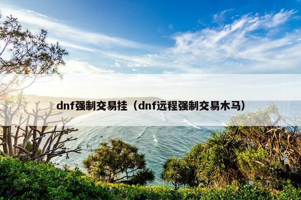 dnf强制交易挂（dnf远程强制交易木马）