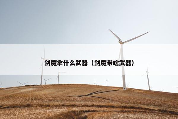 剑魔拿什么武器（剑魔带啥武器）