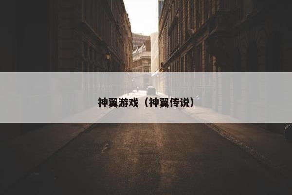 神翼游戏（神翼传说）