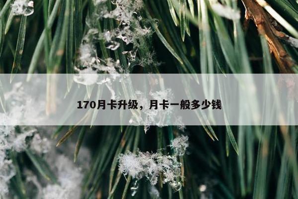 170月卡升级，月卡一般多少钱