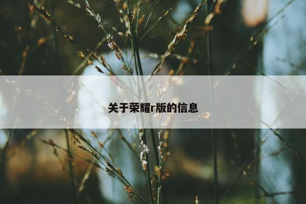 关于荣耀r版的信息