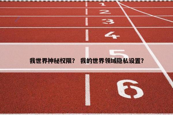 我世界神秘权限？ 我的世界领域隐私设置？