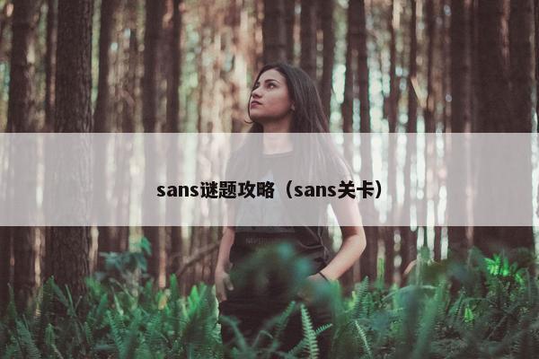 sans谜题攻略（sans关卡）