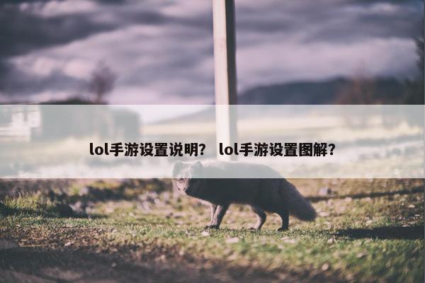 lol手游设置说明？ lol手游设置图解？