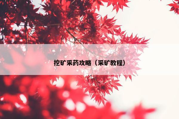 挖矿采药攻略（采矿教程）