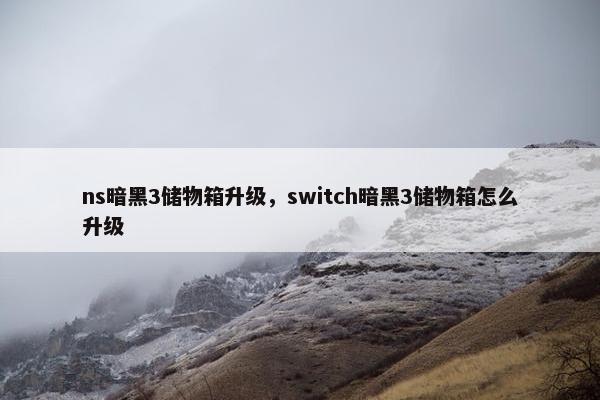 ns暗黑3储物箱升级，switch暗黑3储物箱怎么升级