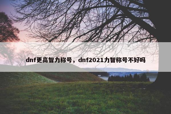 dnf更高智力称号，dnf2021力智称号不好吗