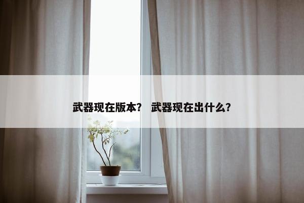 武器现在版本？ 武器现在出什么？