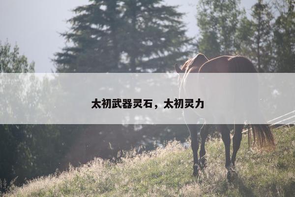 太初武器灵石，太初灵力