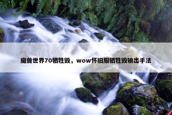 魔兽世界70牺牲毁，wow怀旧服牺牲毁输出手法