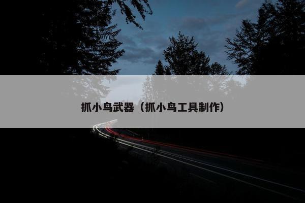 抓小鸟武器（抓小鸟工具制作）