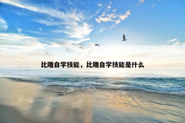比雕自学技能，比雕自学技能是什么