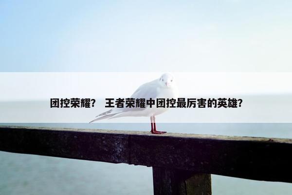 团控荣耀？ 王者荣耀中团控最厉害的英雄？