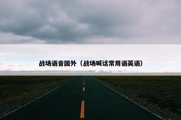 战场语音国外（战场喊话常用语英语）