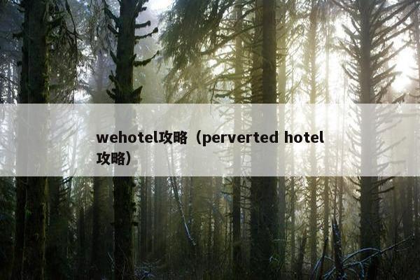 wehotel攻略（perverted hotel攻略）