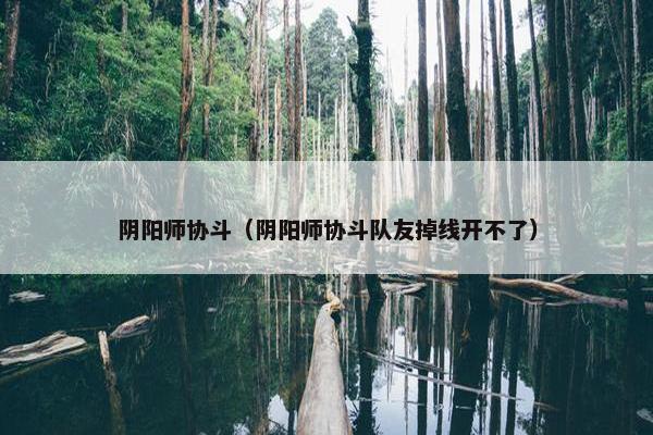 阴阳师协斗（阴阳师协斗队友掉线开不了）