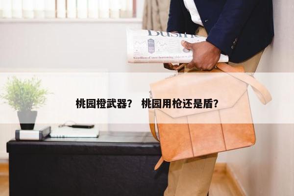 桃园橙武器？ 桃园用枪还是盾？