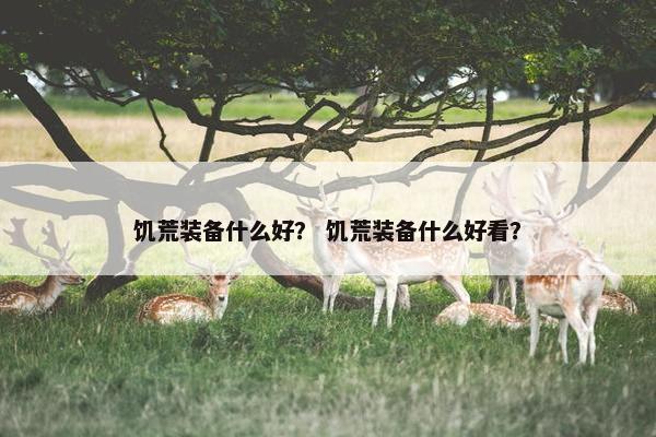饥荒装备什么好？ 饥荒装备什么好看？