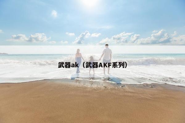 武器ak（武器AKF系列）