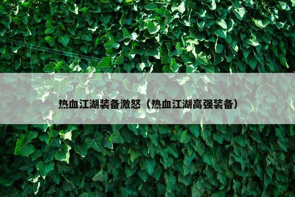 热血江湖装备激怒（热血江湖高强装备）