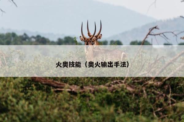 火奥技能（奥火输出手法）