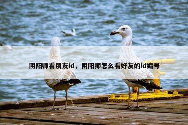 阴阳师看朋友id，阴阳师怎么看好友的id编号