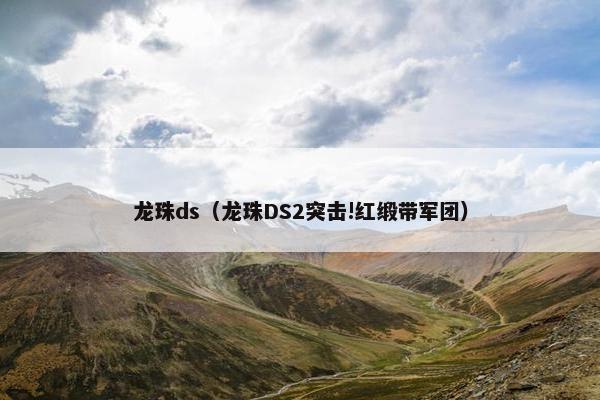 龙珠ds（龙珠DS2突击!红缎带军团）