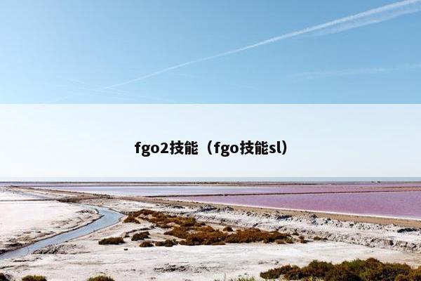 fgo2技能（fgo技能sl）