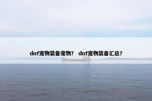 dnf宠物装备宠物？ dnf宠物装备汇总？