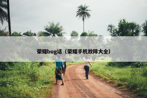 荣耀bug话（荣耀手机故障大全）