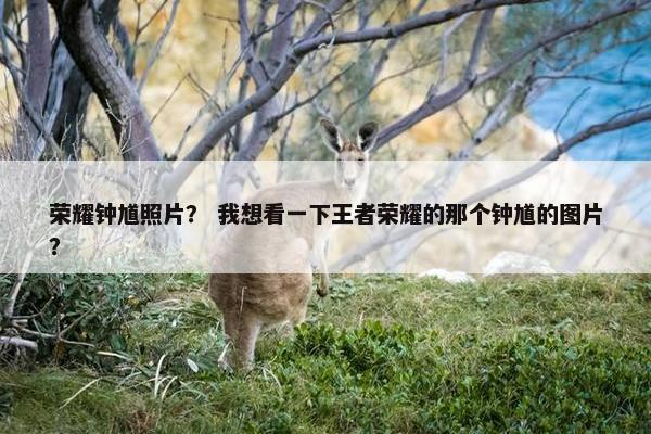 荣耀钟馗照片？ 我想看一下王者荣耀的那个钟馗的图片？
